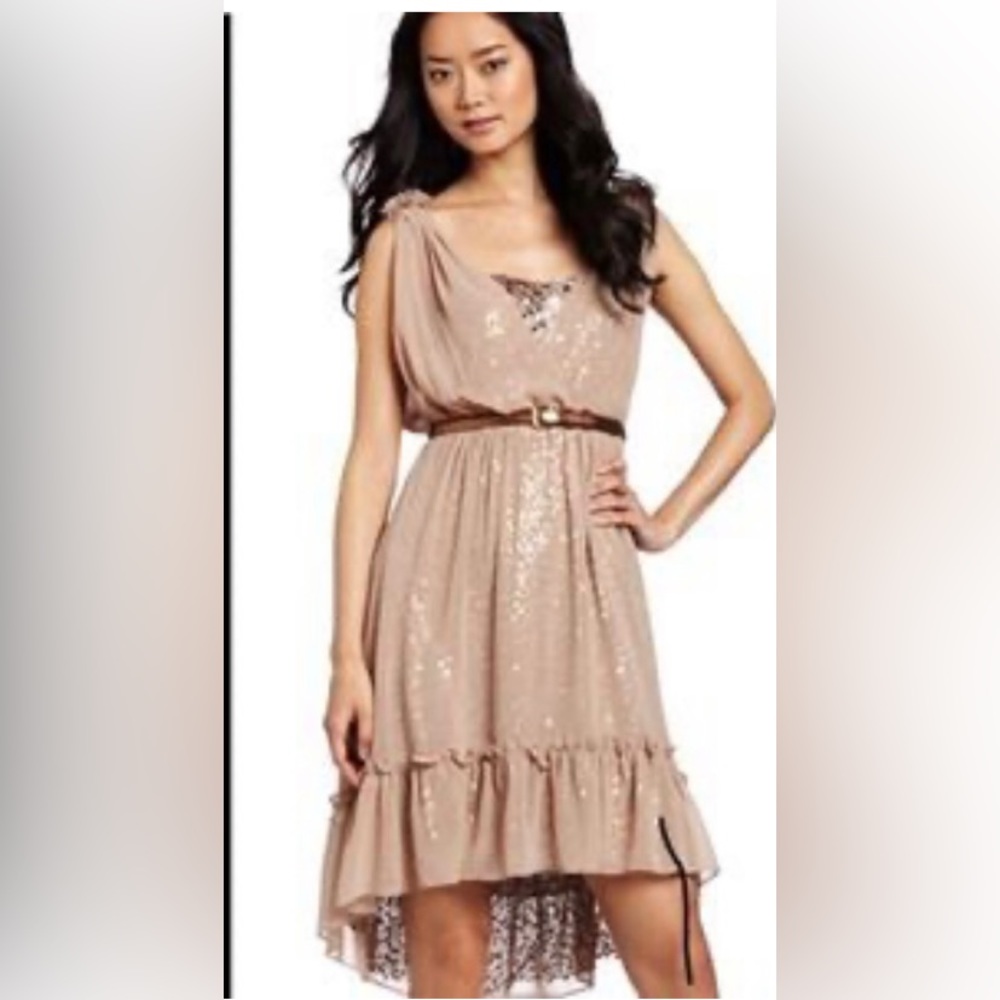 Sequence sheer dress